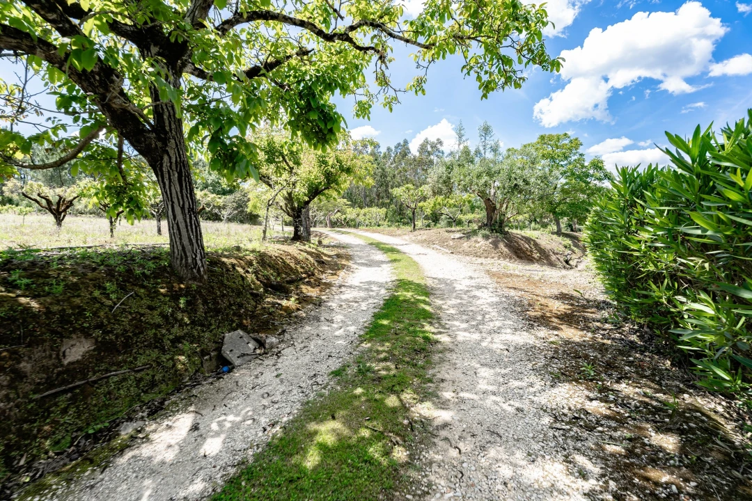 Quinta T5 para Venda em Souselas e Botão Foto 49