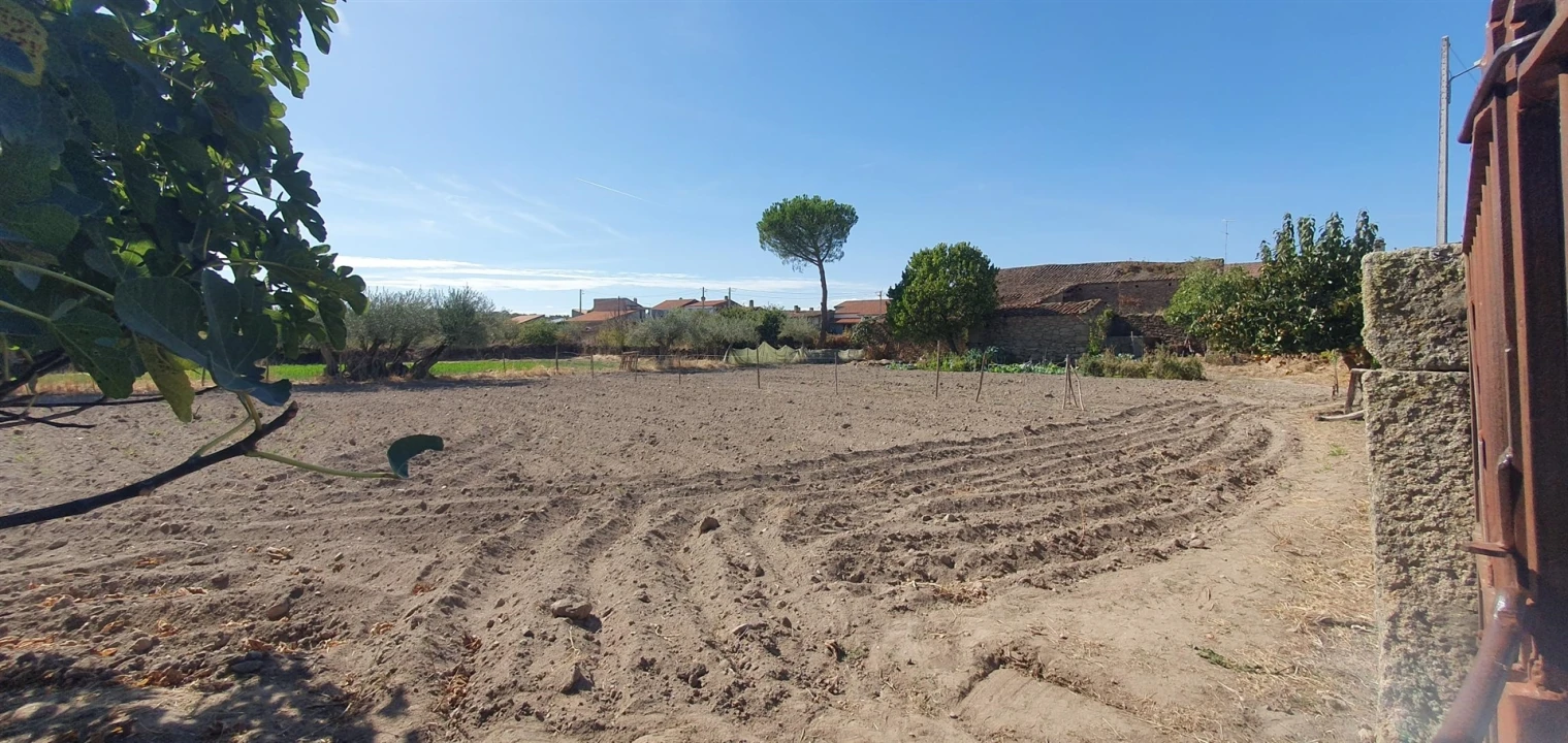 Terreno Agricola ou Rústico para Venda em Algodres, Vale de Afonsinho e Vilar de Amargo Foto 1