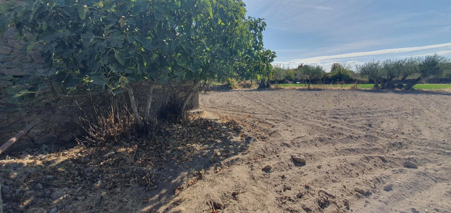 Terreno Agricola ou Rústico para Venda em Algodres, Vale de Afonsinho e Vilar de Amargo Foto 3