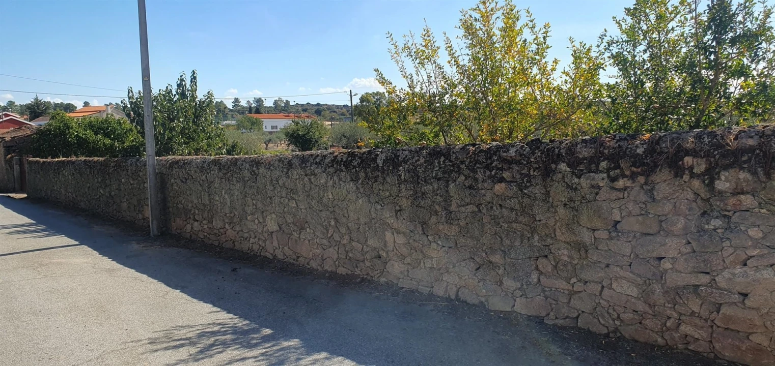 Terreno Agricola ou Rústico para Venda em Algodres, Vale de Afonsinho e Vilar de Amargo Foto 5