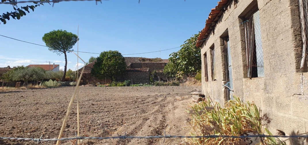 Terreno Agricola ou Rústico para Venda em Algodres, Vale de Afonsinho e Vilar de Amargo Foto 4