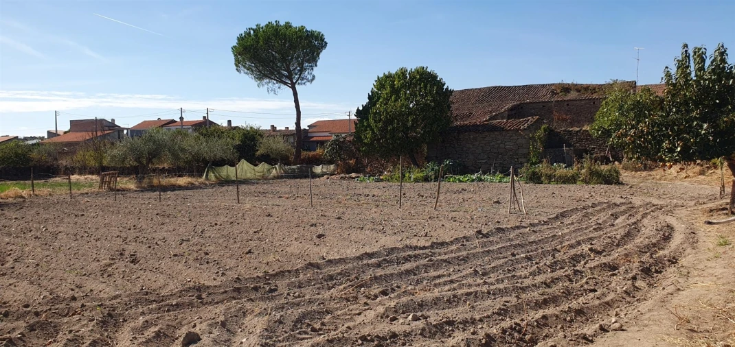 Terreno Agricola ou Rústico para Venda em Algodres, Vale de Afonsinho e Vilar de Amargo Foto 2