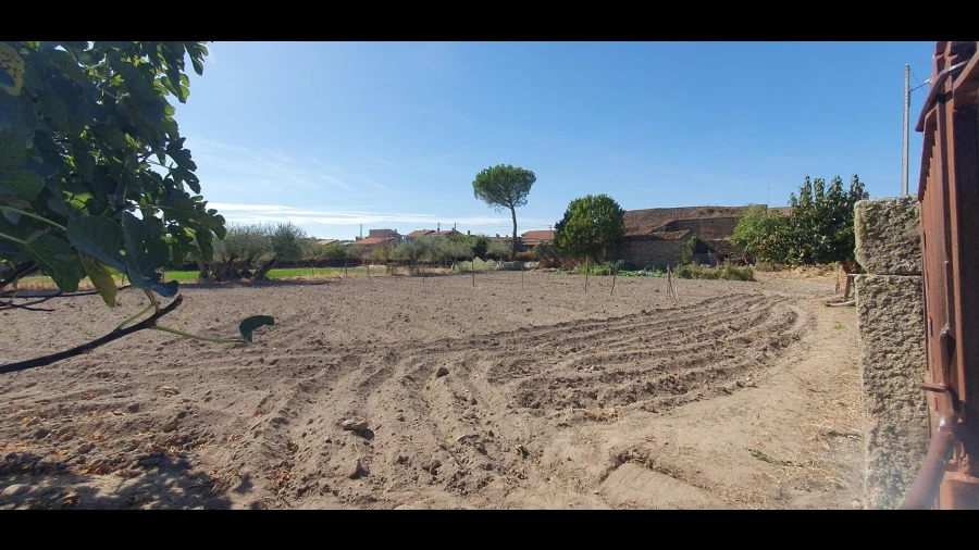 Terreno Agricola ou Rústico para Venda em Algodres, Vale de Afonsinho e Vilar de Amargo