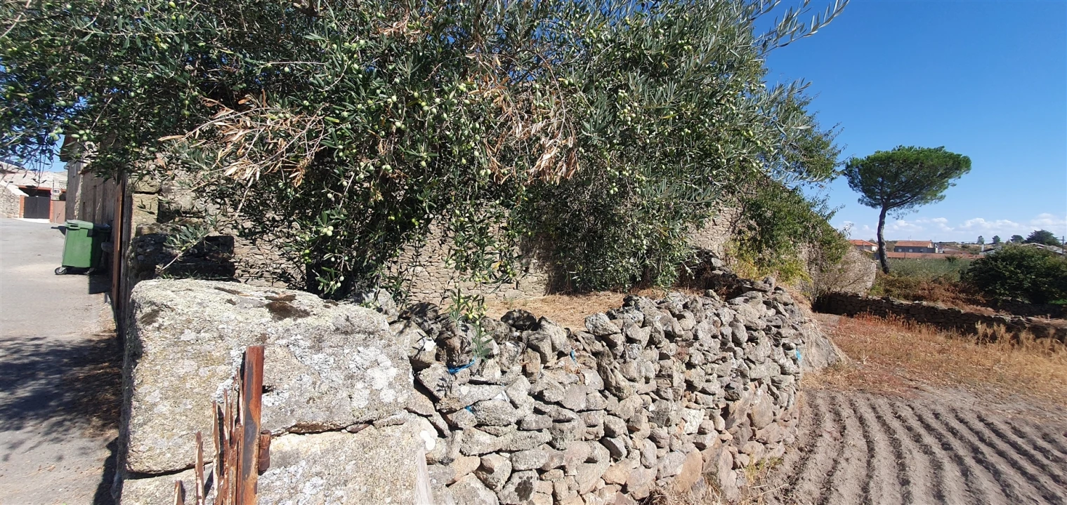 Armazém para Venda em Algodres, Vale de Afonsinho e Vilar de Amargo Foto 4