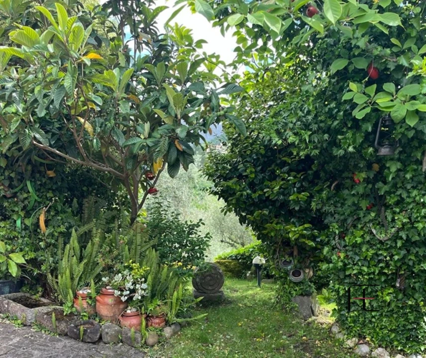 Moradia T1 para Venda em Aboadela, Sanche e Várzea Foto 38