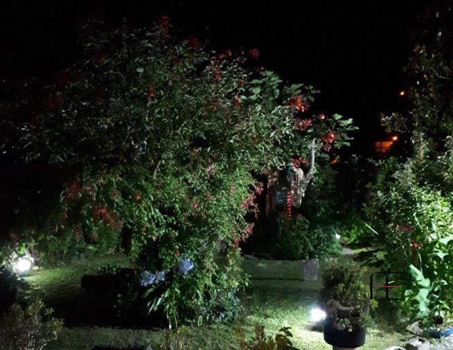 Moradia T1 para Venda em Aboadela, Sanche e Várzea Foto 51