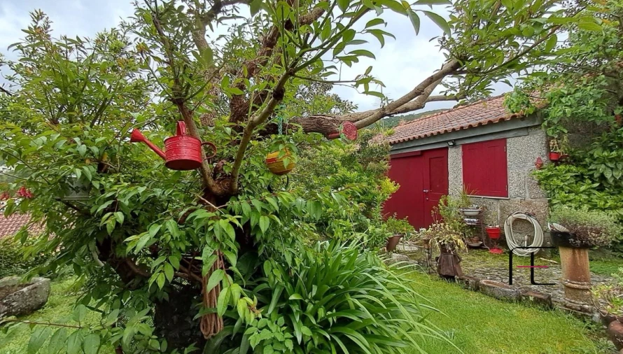 Moradia T1 para Venda em Aboadela, Sanche e Várzea Foto 25