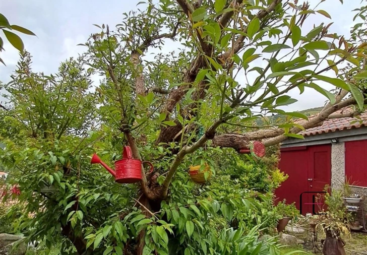 Moradia T1 para Venda em Aboadela, Sanche e Várzea Foto 13