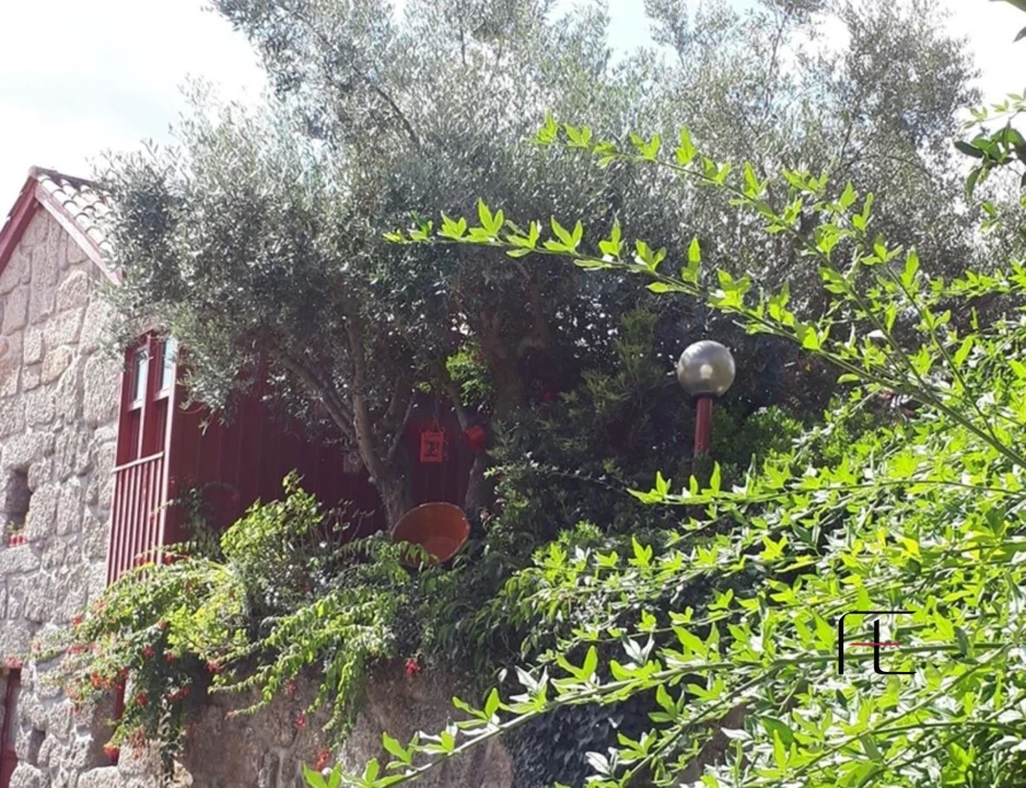 Moradia T1 para Venda em Aboadela, Sanche e Várzea Foto 28