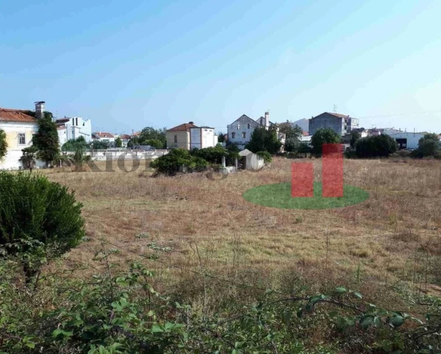 Quinta para Venda em São Miguel do Rio Torto e Rossio Ao Sul do Tejo Foto 7