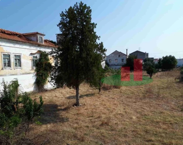 Quinta para Venda em São Miguel do Rio Torto e Rossio Ao Sul do Tejo Foto 4