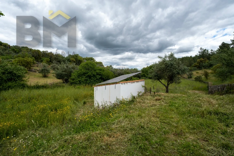 Moradia T2 para Venda em Proença-A-Velha Foto 22