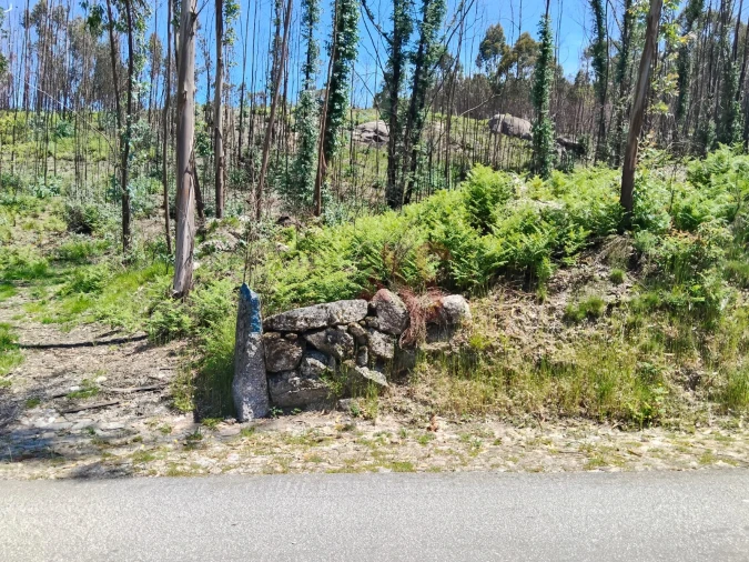 Terreno Agricola ou Rústico para Venda em Ardegão, Arnozela e Seidões Foto 2