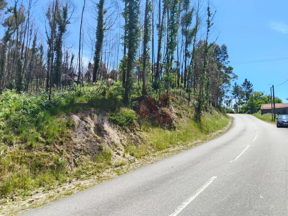 Terreno Agricola ou Rústico para Venda em Ardegão, Arnozela e Seidões Foto 3