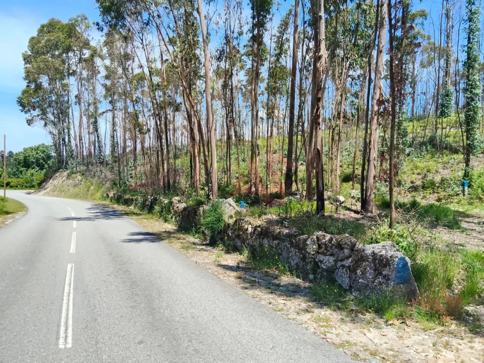 Terreno Agricola ou Rústico para Venda em Ardegão, Arnozela e Seidões Foto 1