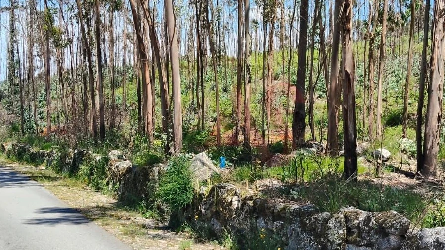 Terreno Agricola ou Rústico para Venda em Ardegão, Arnozela e Seidões