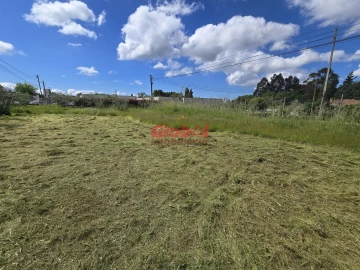 Terreno para Venda em Mundão