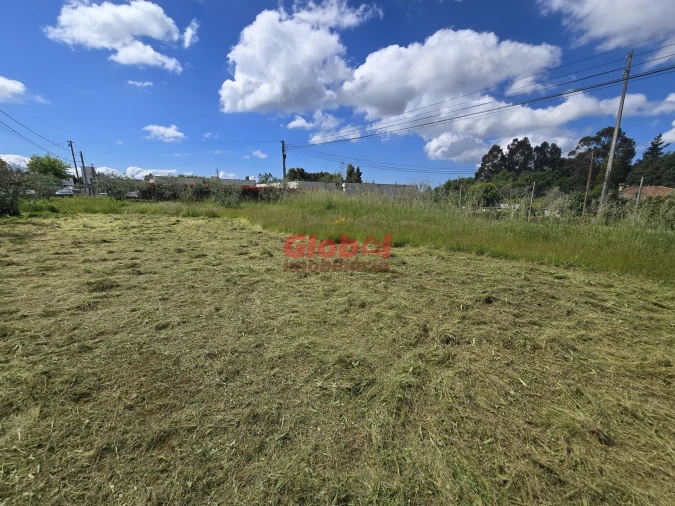 Terreno para Venda em Mundão Foto 3