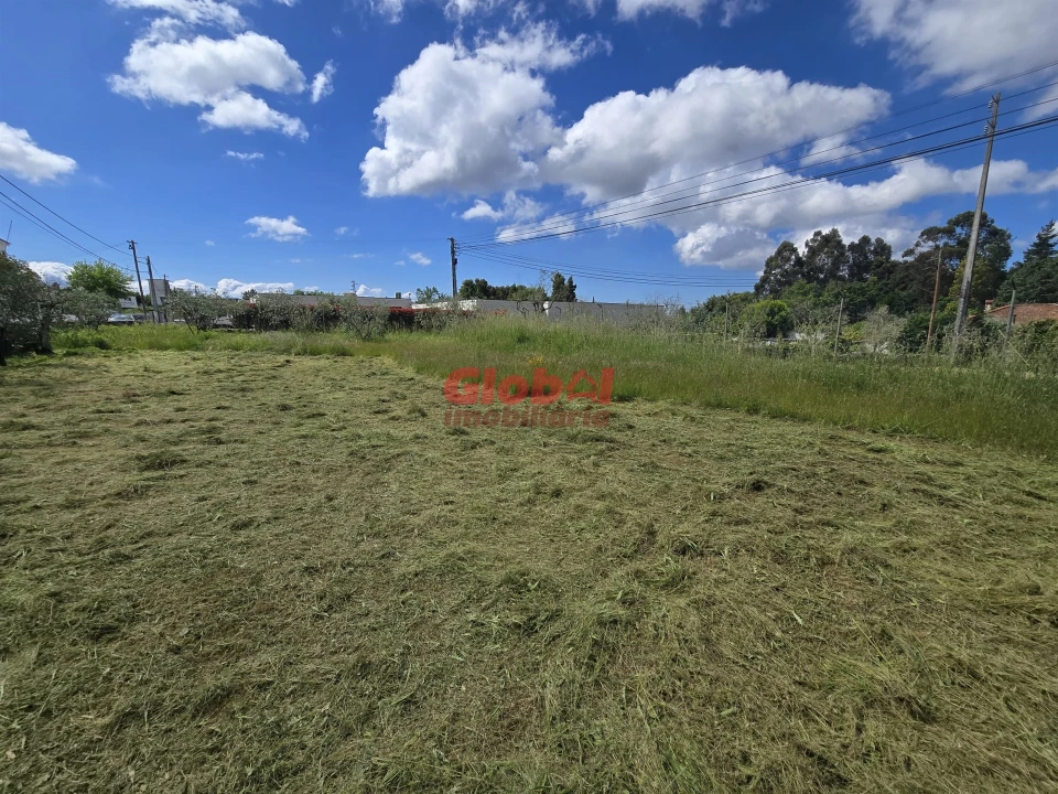 Terreno para Venda em Mundão Foto 2