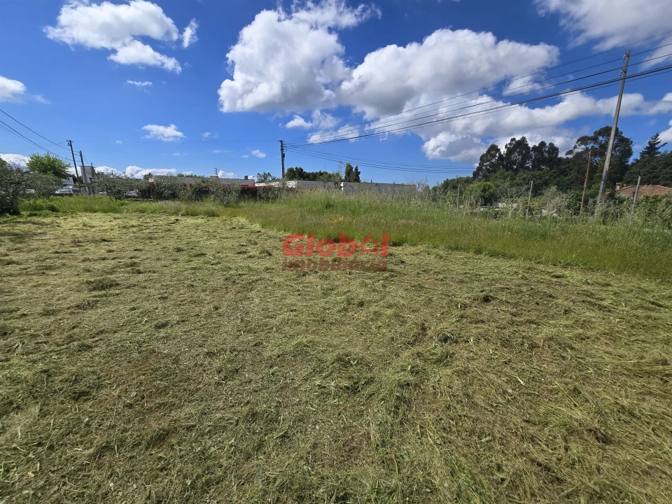 Terreno para Venda em Mundão Foto 3
