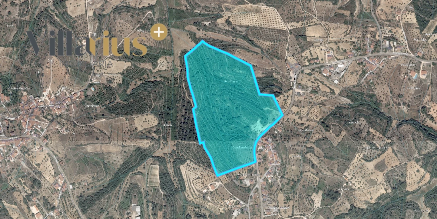 Terreno para Venda em Assentiz Foto 20