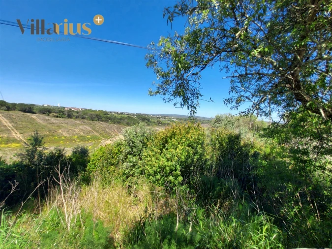 Terreno para Venda em Assentiz Foto 7