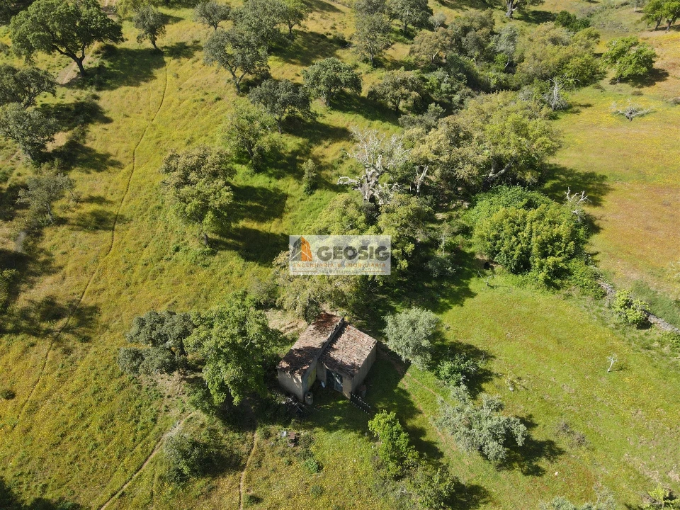 Quinta T1 para Venda em Almodôvar e Graça dos Padrões Foto 28