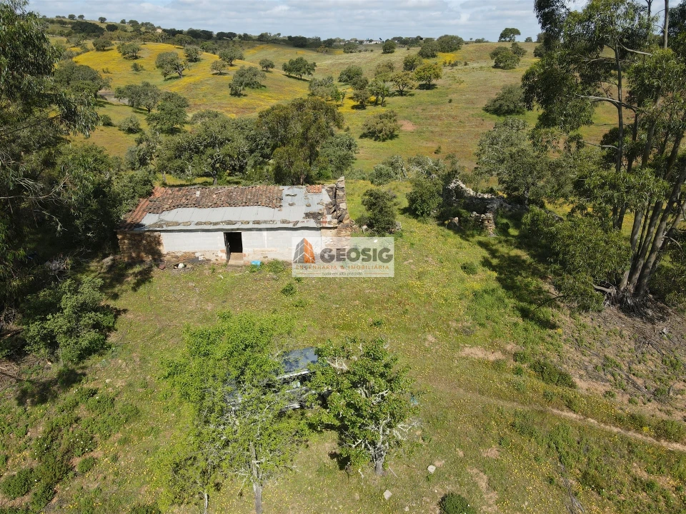 Quinta T1 para Venda em Almodôvar e Graça dos Padrões Foto 1