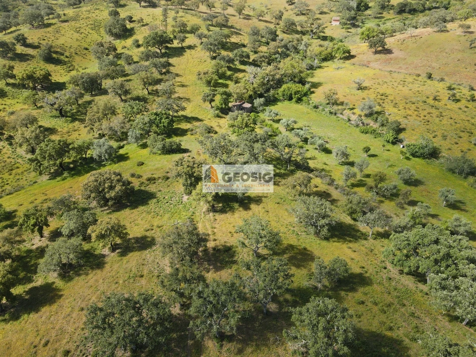 Quinta T1 para Venda em Almodôvar e Graça dos Padrões Foto 23