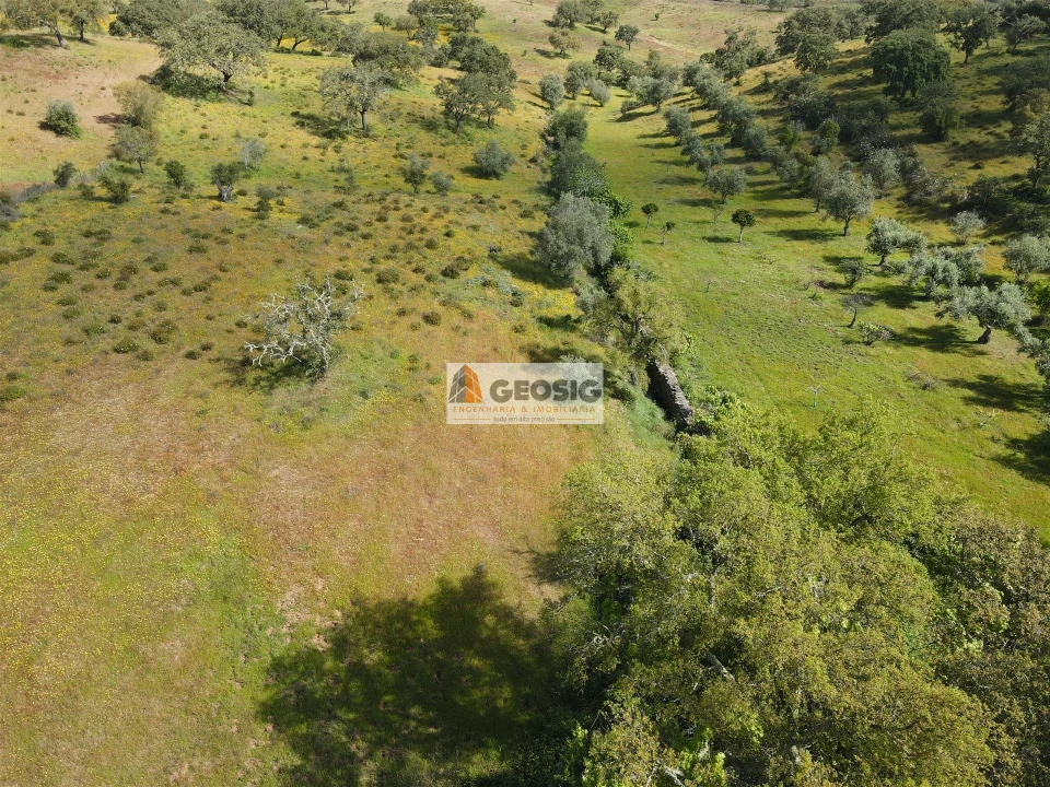 Quinta T1 para Venda em Almodôvar e Graça dos Padrões Foto 29