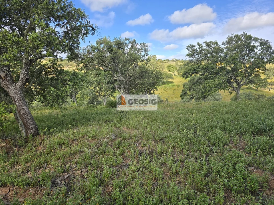Quinta T1 para Venda em Almodôvar e Graça dos Padrões Foto 12