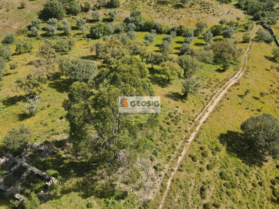 Quinta T1 para Venda em Almodôvar e Graça dos Padrões Foto 5