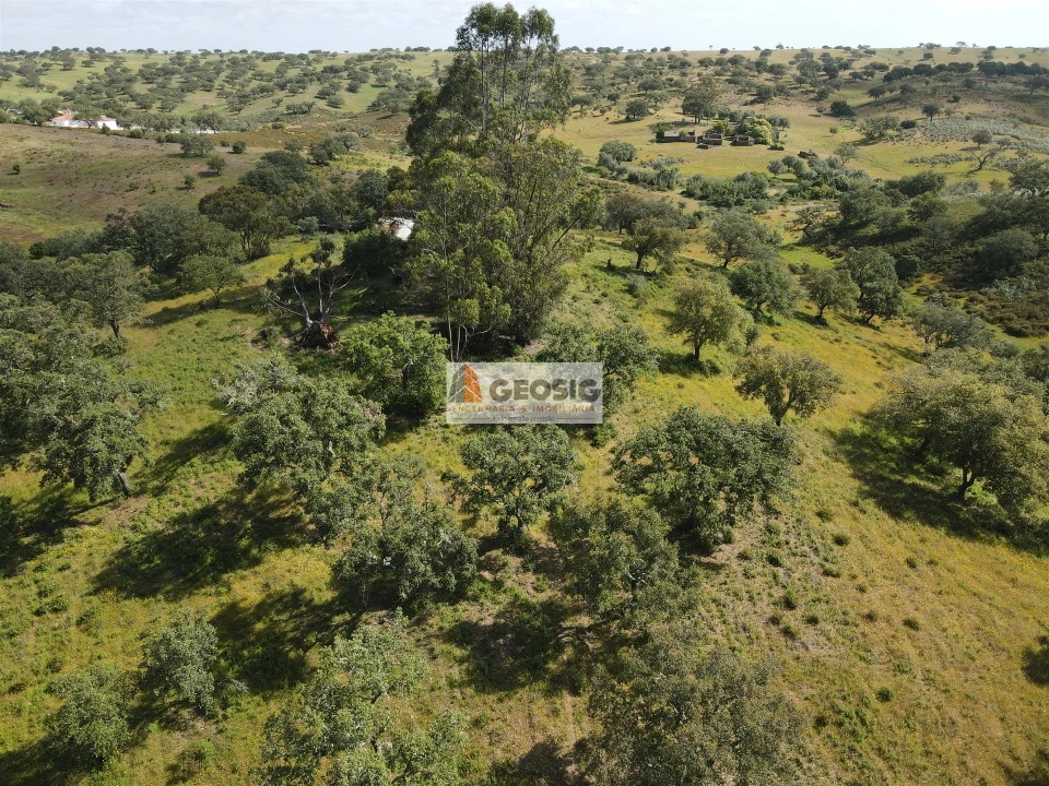 Quinta T1 para Venda em Almodôvar e Graça dos Padrões Foto 26