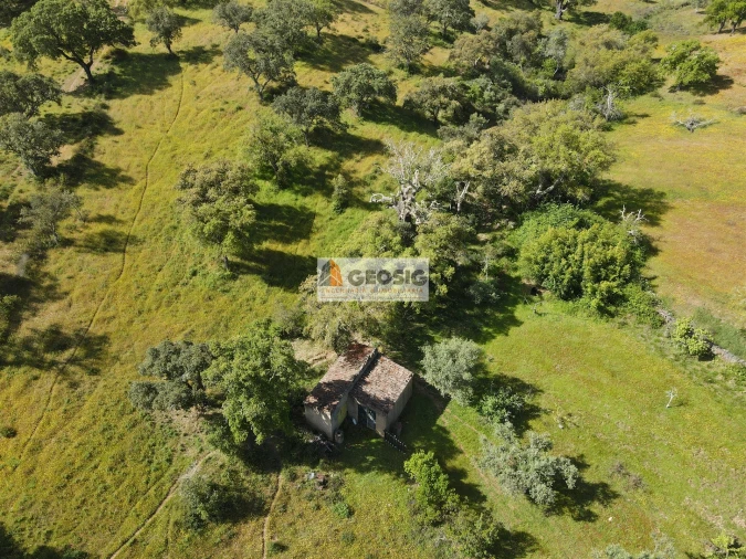 Quinta T1 para Venda em Almodôvar e Graça dos Padrões Foto 28