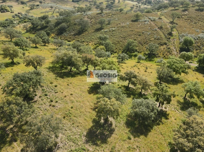 Quinta T1 para Venda em Almodôvar e Graça dos Padrões Foto 27