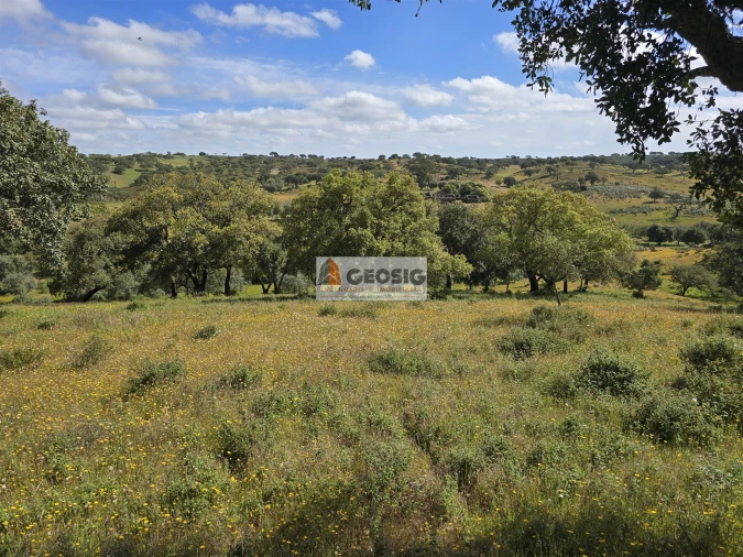 Quinta T1 para Venda em Almodôvar e Graça dos Padrões Foto 20