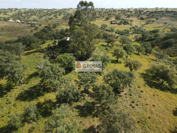 Quinta T1 para Venda em Almodôvar e Graça dos Padrões Foto 26