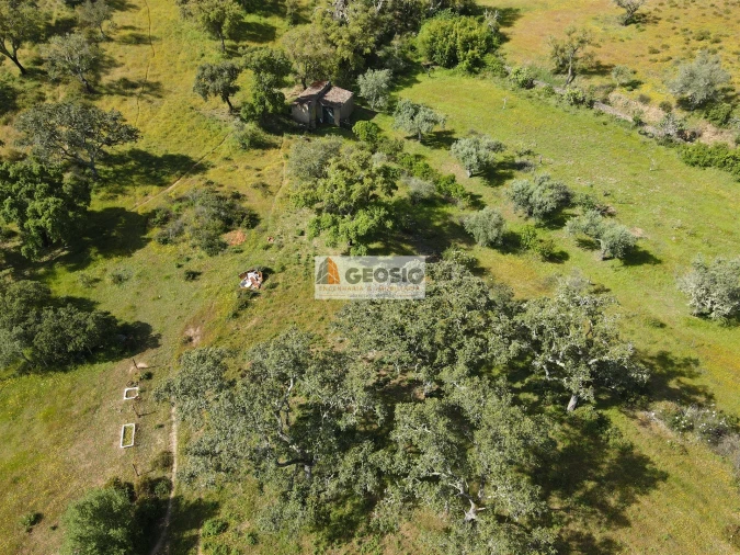 Quinta T1 para Venda em Almodôvar e Graça dos Padrões Foto 24