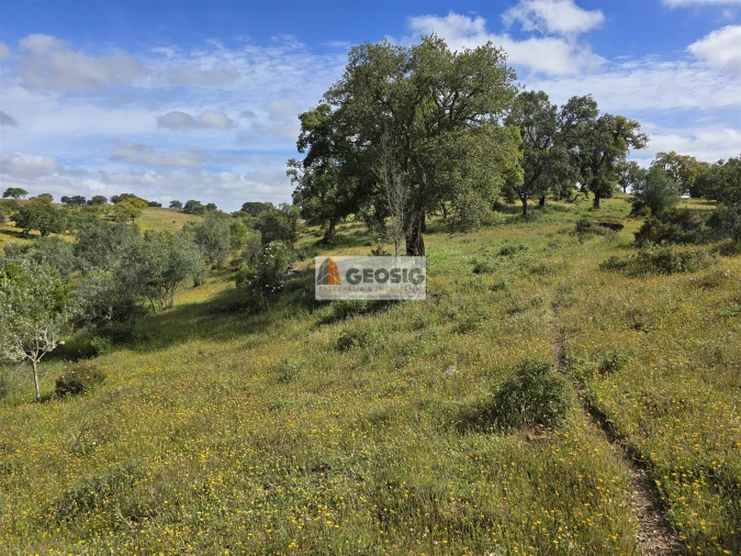Quinta T1 para Venda em Almodôvar e Graça dos Padrões Foto 15