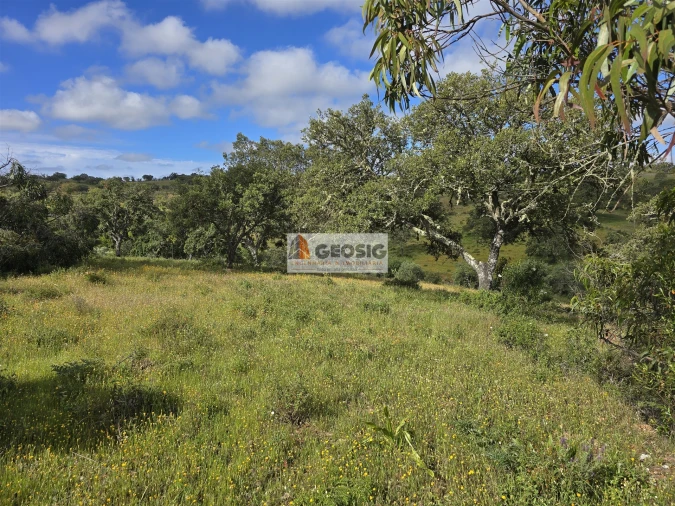 Quinta T1 para Venda em Almodôvar e Graça dos Padrões Foto 10