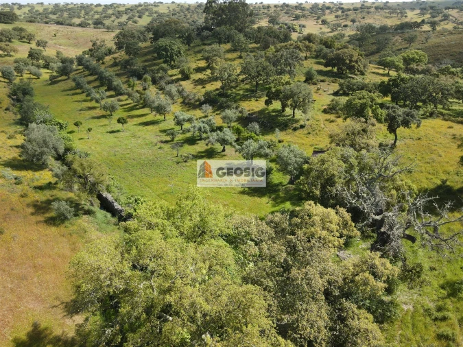 Quinta T1 para Venda em Almodôvar e Graça dos Padrões Foto 30