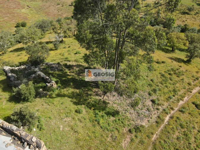 Quinta T1 para Venda em Almodôvar e Graça dos Padrões Foto 4