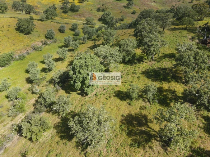 Quinta T1 para Venda em Almodôvar e Graça dos Padrões Foto 25