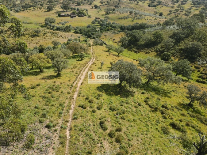 Quinta T1 para Venda em Almodôvar e Graça dos Padrões Foto 21