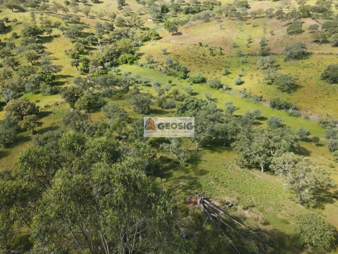 Quinta T1 para Venda em Almodôvar e Graça dos Padrões Foto 22