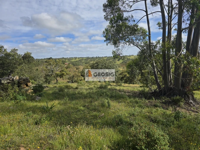 Quinta T1 para Venda em Almodôvar e Graça dos Padrões Foto 11