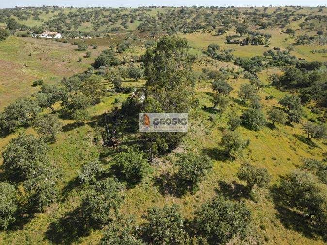 Quinta T1 para Venda em Almodôvar e Graça dos Padrões Foto 33