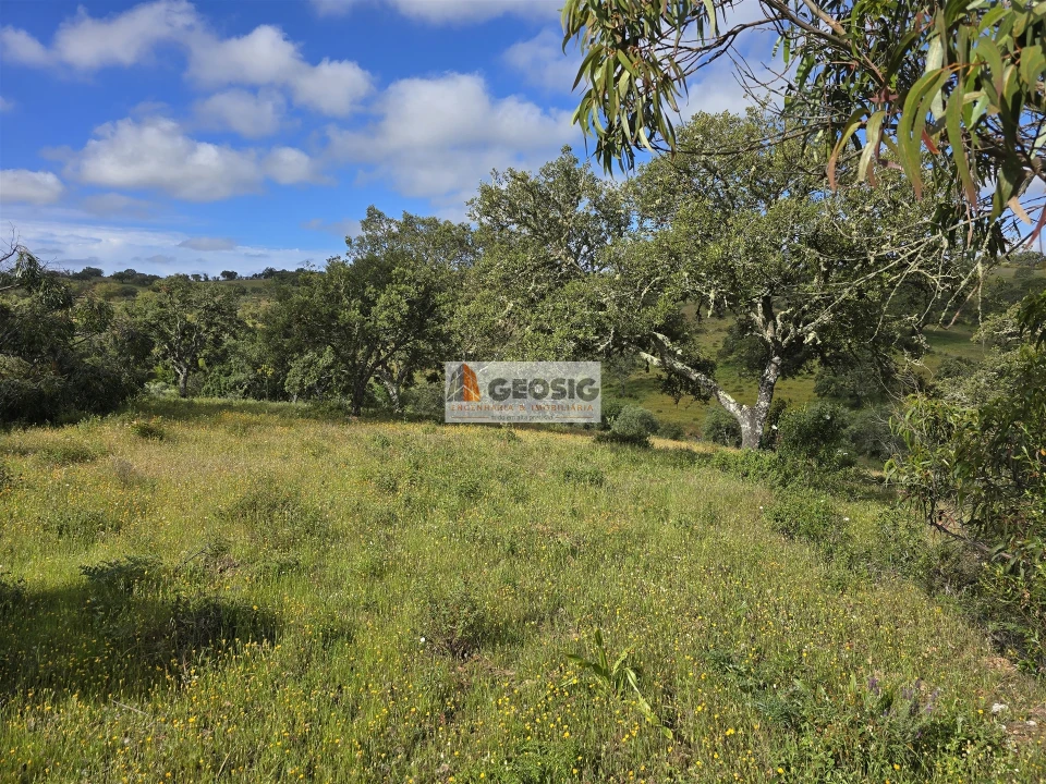 Quinta T1 para Venda em Almodôvar e Graça dos Padrões Foto 10
