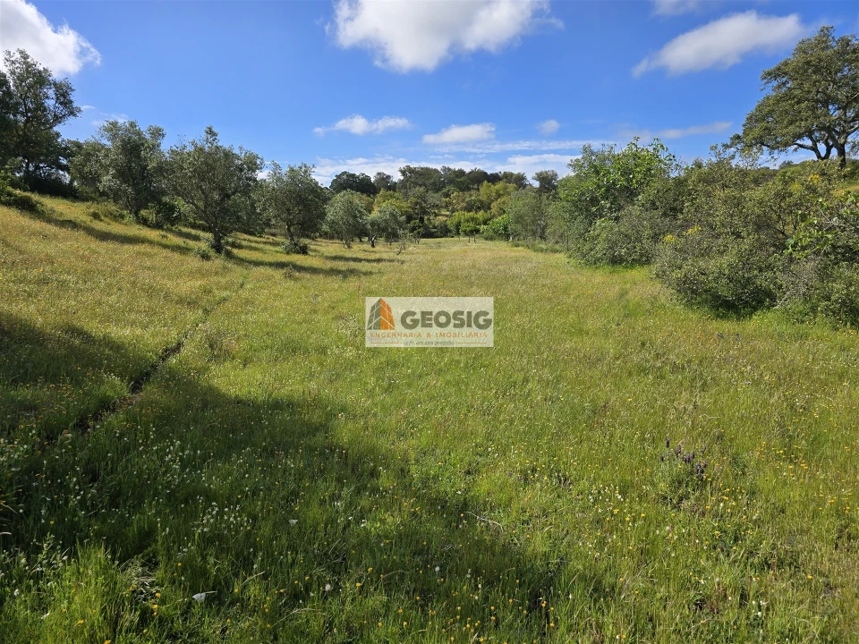 Quinta T1 para Venda em Almodôvar e Graça dos Padrões Foto 18