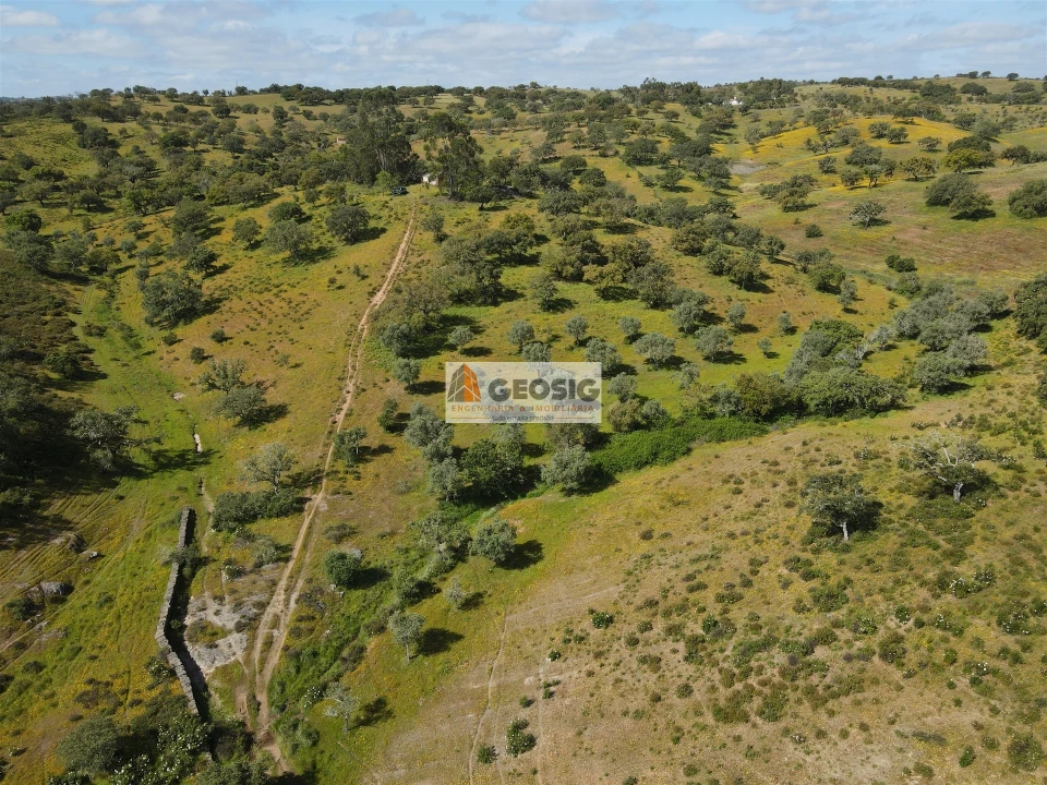 Quinta T1 para Venda em Almodôvar e Graça dos Padrões Foto 31